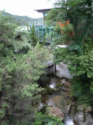 b0028524_1101865.jpg