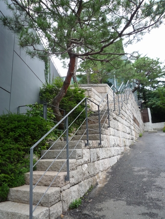 b0028524_116476.jpg