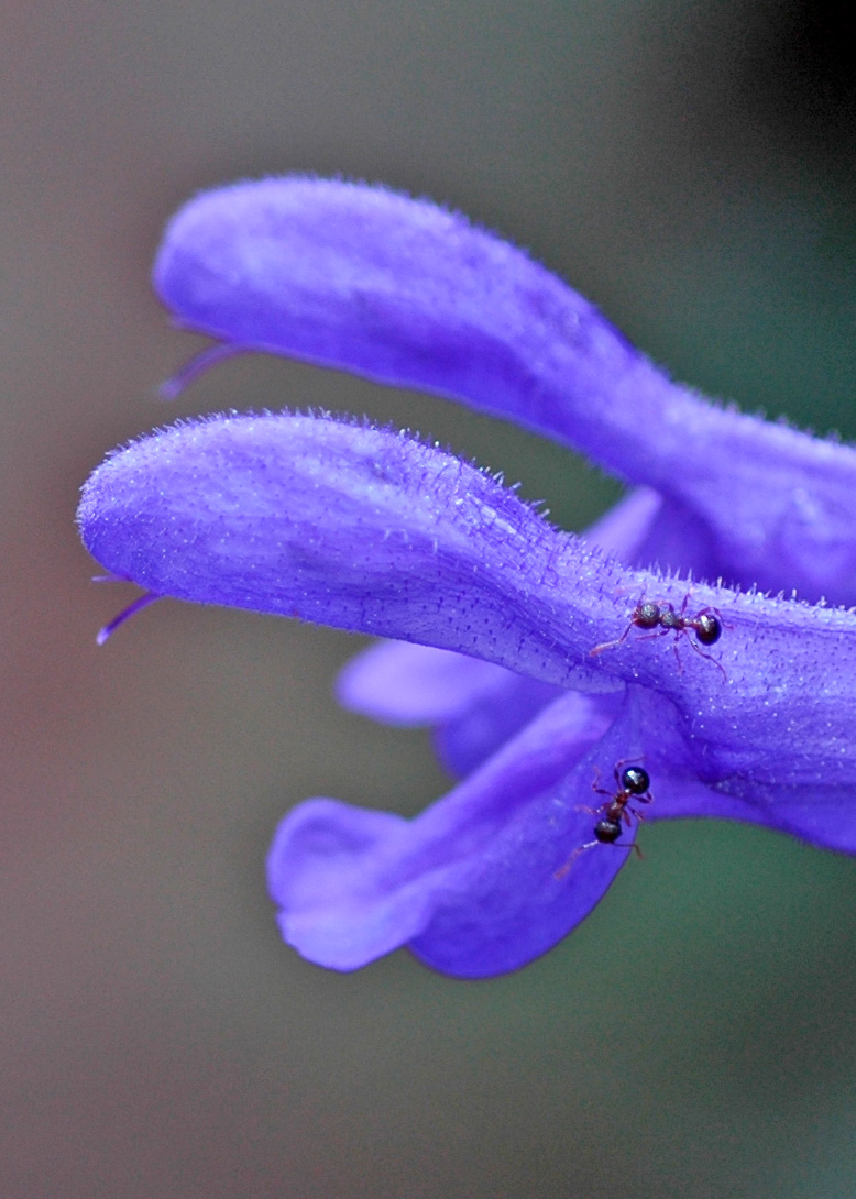 f0147025_15201078.jpg