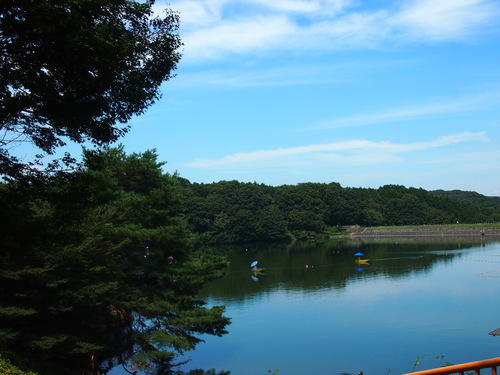 b0085331_9472652.jpg