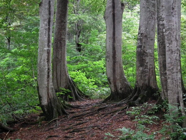 f0118332_22144640.jpg
