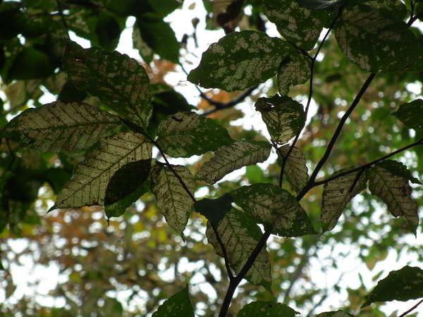 f0118332_221595.jpg