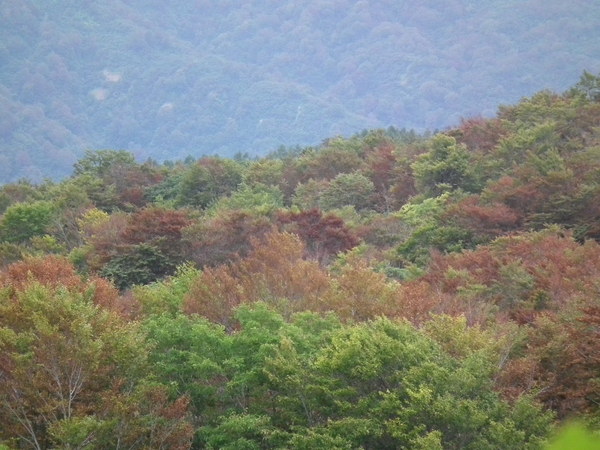 f0118332_2221014.jpg