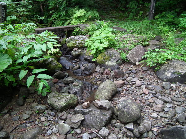 f0118332_22252722.jpg