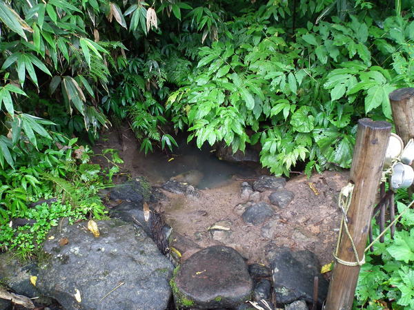 f0118332_22282273.jpg