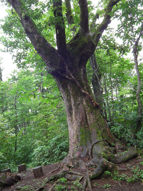 f0118332_22335735.jpg