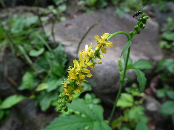 f0118332_22381731.jpg