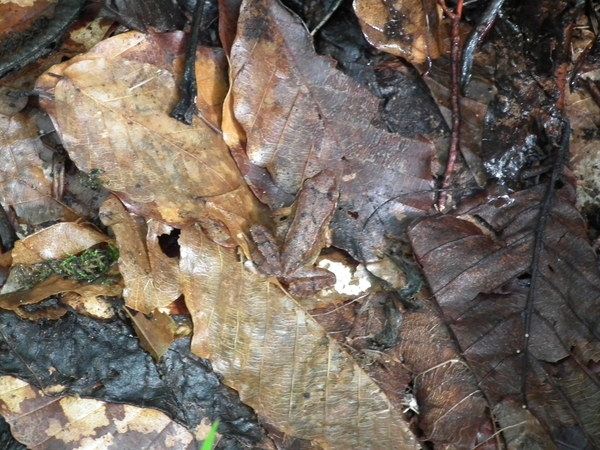 f0118332_2242107.jpg