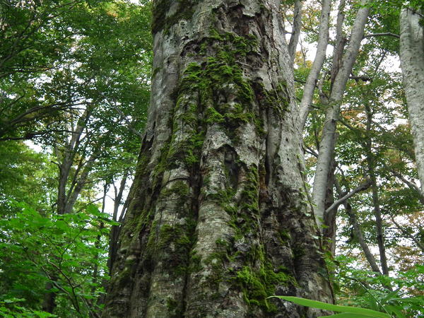 f0118332_2295989.jpg