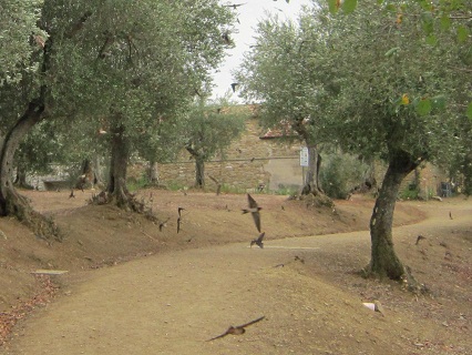 f0234936_6342866.jpg