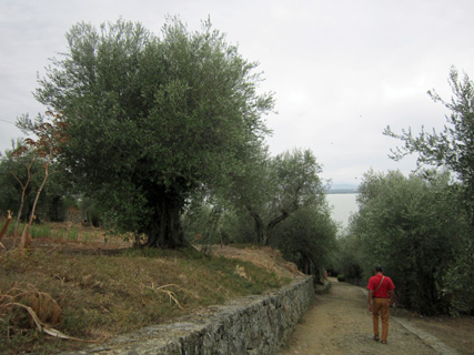 f0234936_635294.jpg