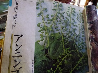 c0191138_15221170.jpg