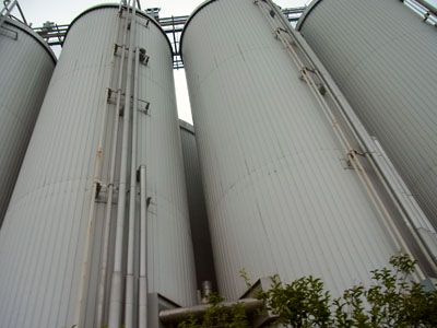 b0019140_15202923.jpg