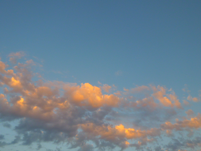 d0170140_2054179.jpg