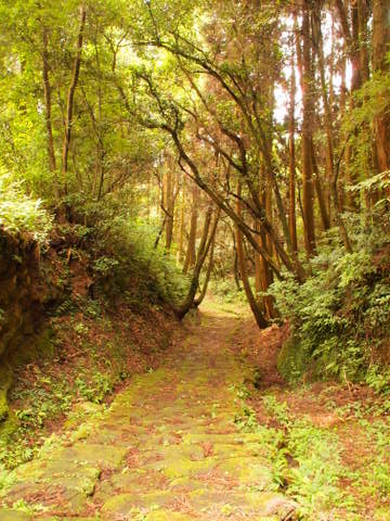 b0199742_21301815.jpg