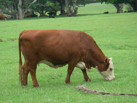 f0171644_1227593.jpg