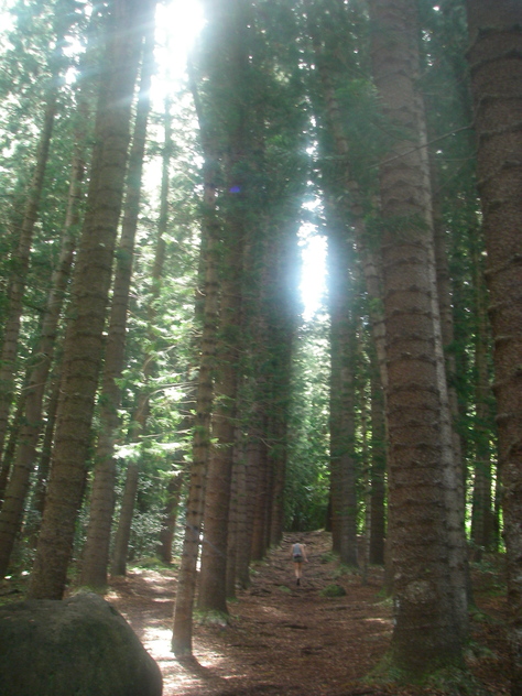 f0171644_12414978.jpg