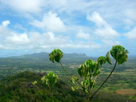 f0171644_12435046.jpg