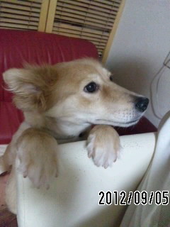 f0087256_8125427.jpg