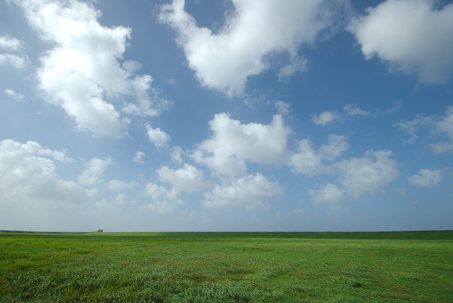 c0080357_9372935.jpg