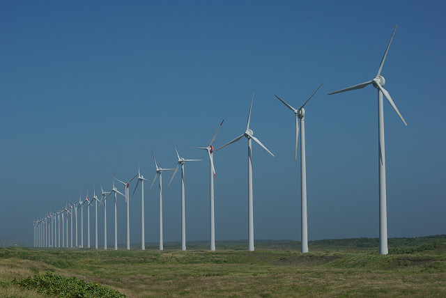 c0080357_938054.jpg