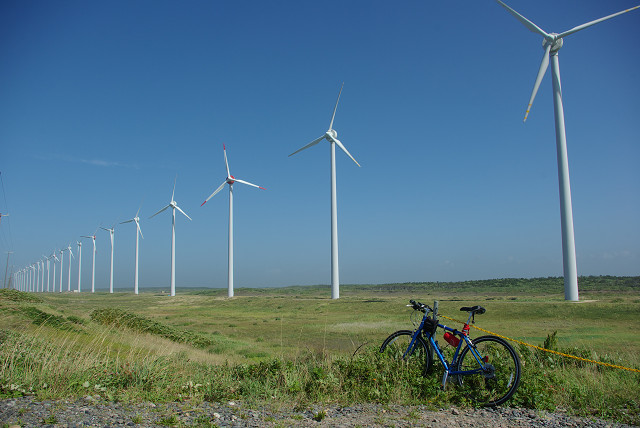 c0080357_9381977.jpg