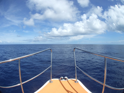 e0184067_1642447.jpg