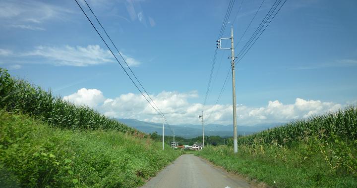 f0036269_21384611.jpg
