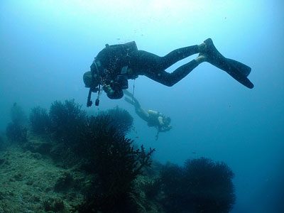 b0033573_21173955.jpg