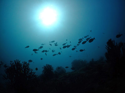 b0033573_21174912.jpg