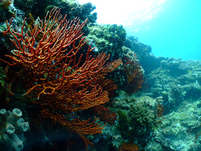b0033573_21175785.jpg
