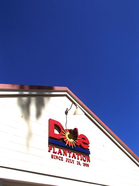 b0247073_22264547.jpg