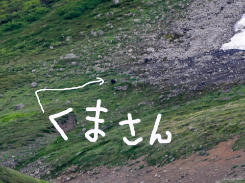 f0130376_17452787.jpg