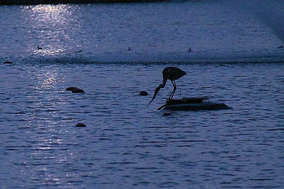 e0249878_1544752.jpg