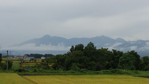 d0182179_21461652.jpg