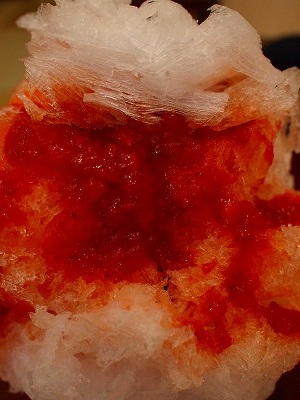 a0279382_8421550.jpg