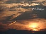 b0162388_2049521.jpg