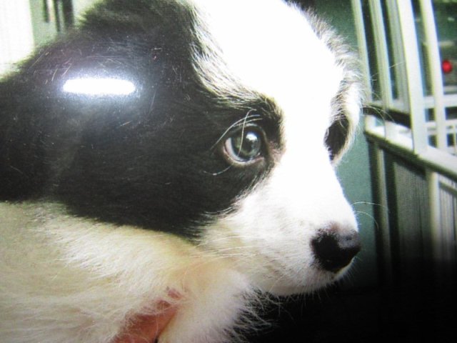 b0204498_11355347.jpg