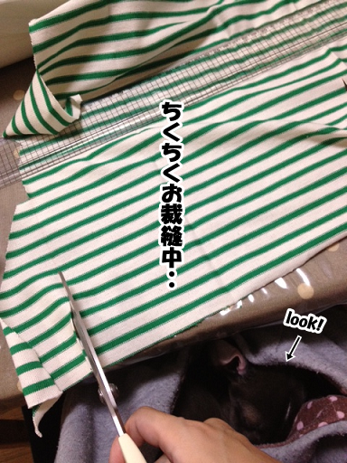 e0290901_11261390.png