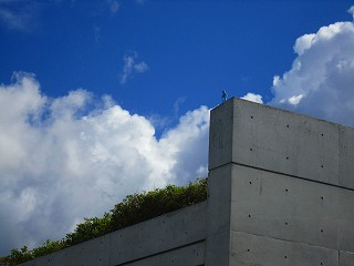 c0192302_1046992.jpg