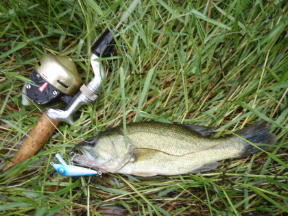 c0023804_15595384.jpg