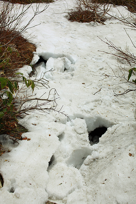 a0148606_003785.jpg