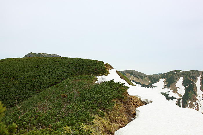 a0148606_0123339.jpg