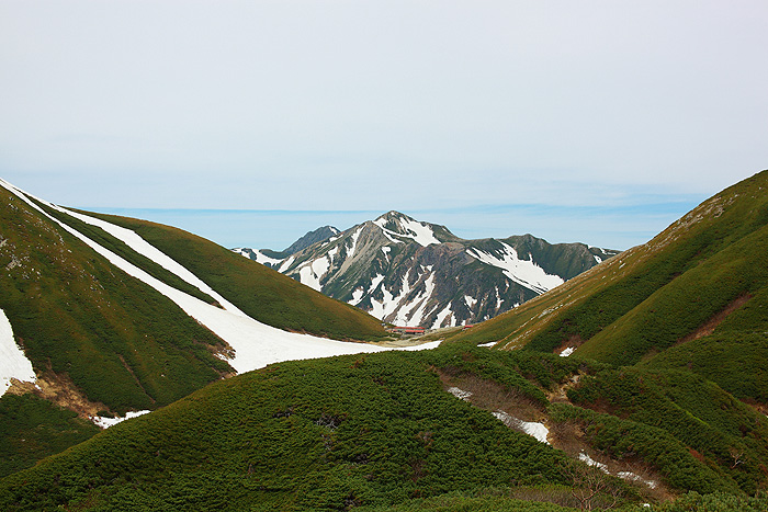 a0148606_0135490.jpg