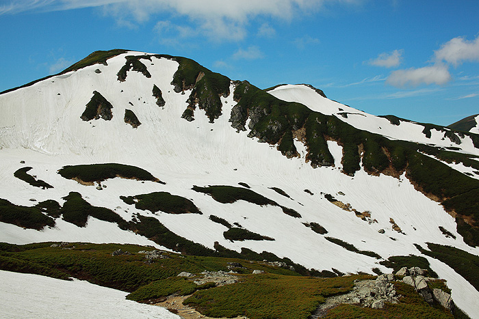 a0148606_0171950.jpg