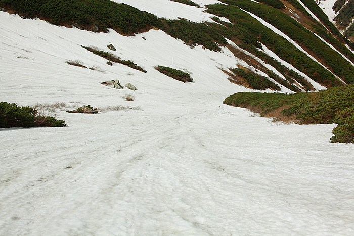 a0148606_0201257.jpg