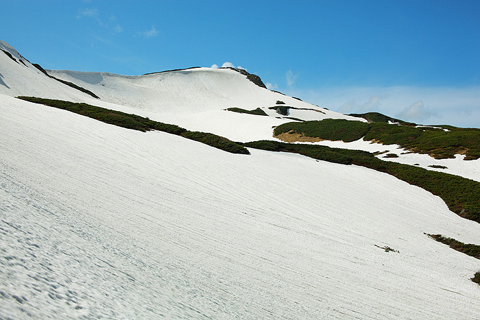 a0148606_0221392.jpg