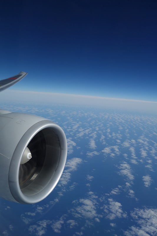 e0181908_23334990.jpg