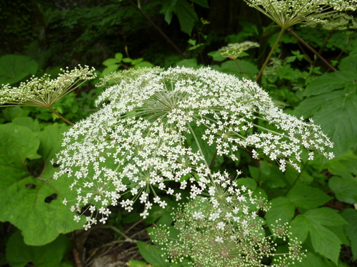 f0105913_8464511.jpg