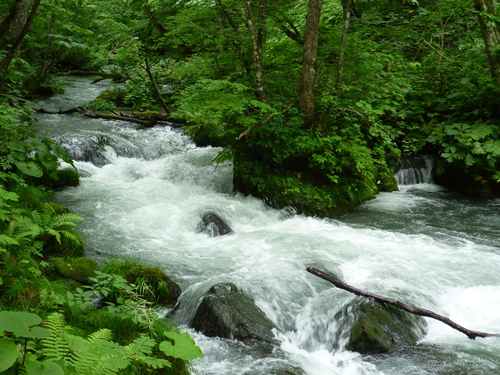 f0105913_8471079.jpg